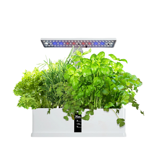 SmartGrow - Indoor Hydroponic System